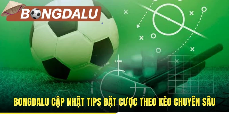 Bongdalu cập nhật tips đặt cược theo kèo chuyên sâu