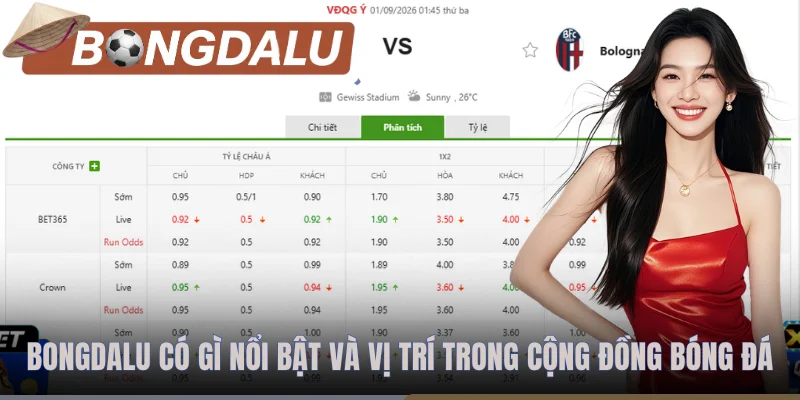 Bongdalu có gì nổi bật và vị trí trong cộng đồng bóng đá