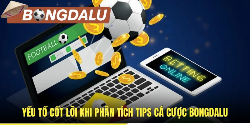 Yếu tố cốt lõi khi phân tích tips cá cược Bongdalu
